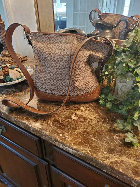 Coach Tan Leather Mini Logo Bag with Silver-tone Hardware - Picture 3 of 11